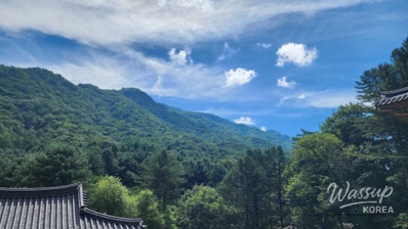 Spectacular Scene