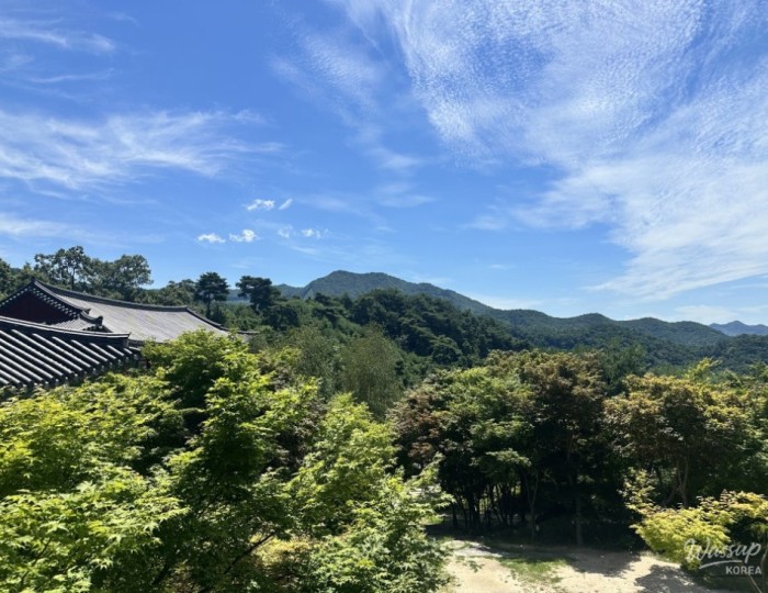 Peaceful Scenery
