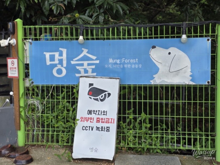 값진 경험