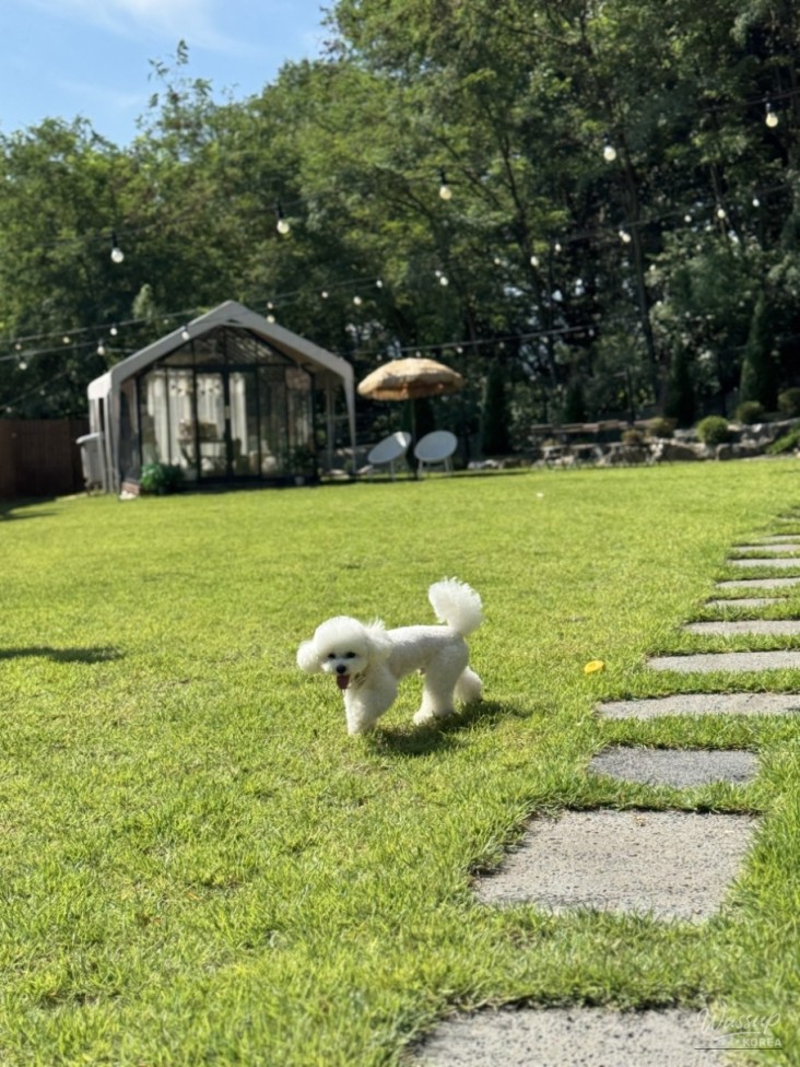 특별한 순간