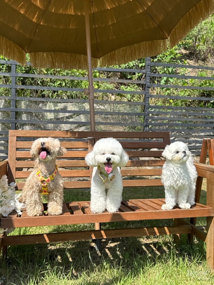 행복한 시간