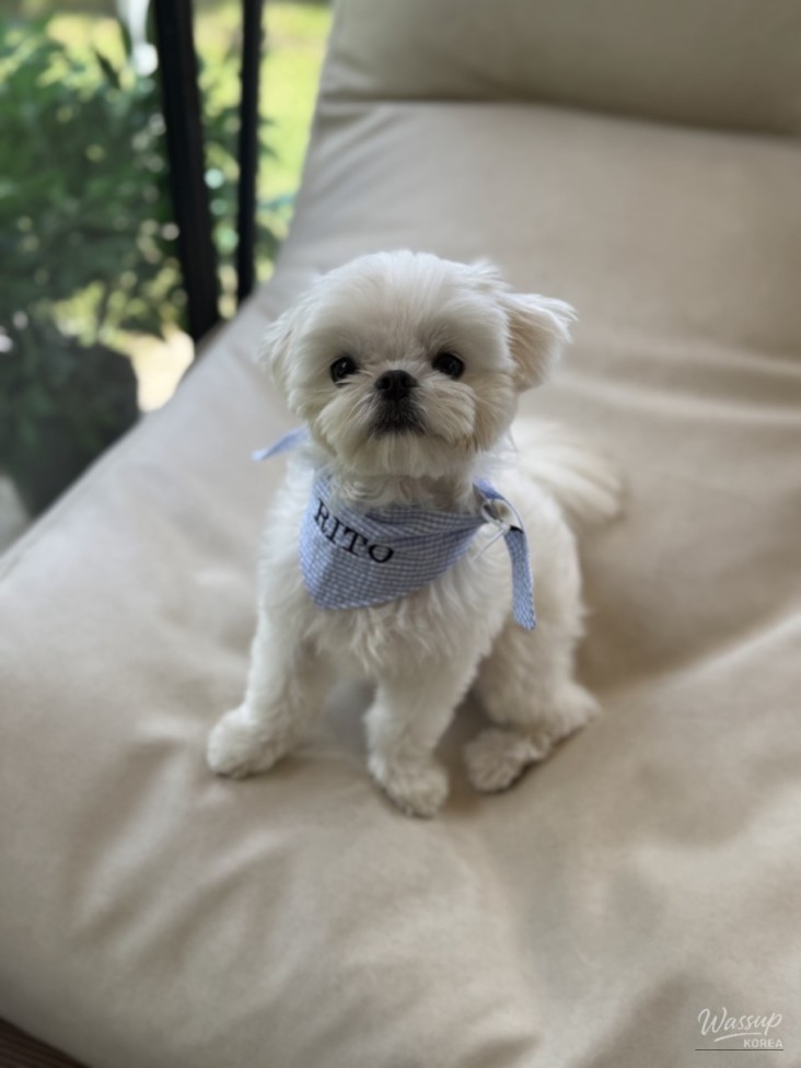 환상적인 장면