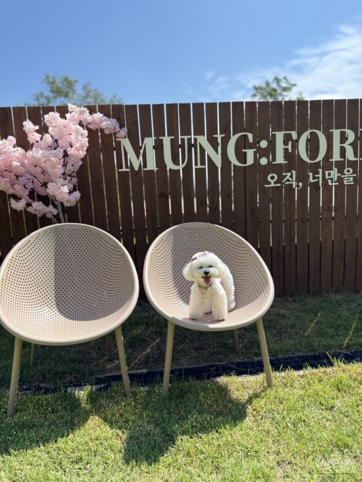 값진 경험