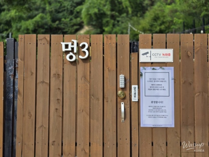놀라운 광경
