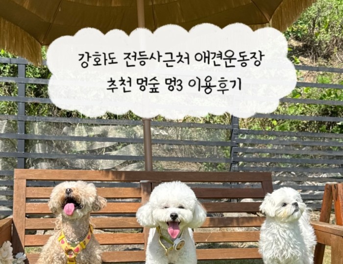 인상 깊은 모습
