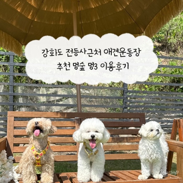 인상 깊은 모습