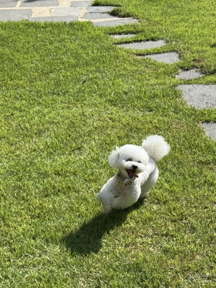 흥미로운 이미지