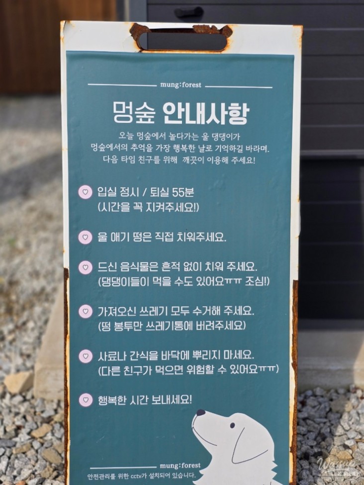 소중한 기억