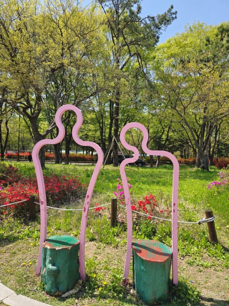 놀라운 광경