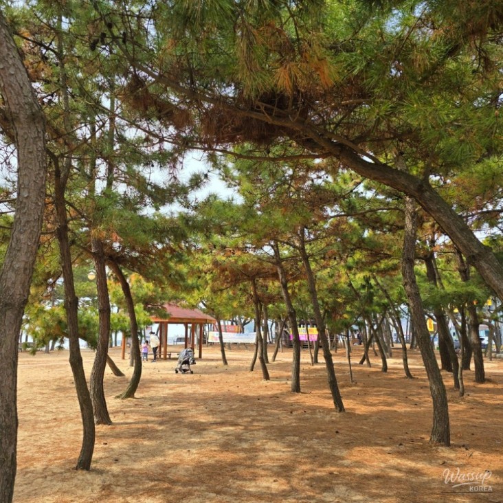 값진 경험