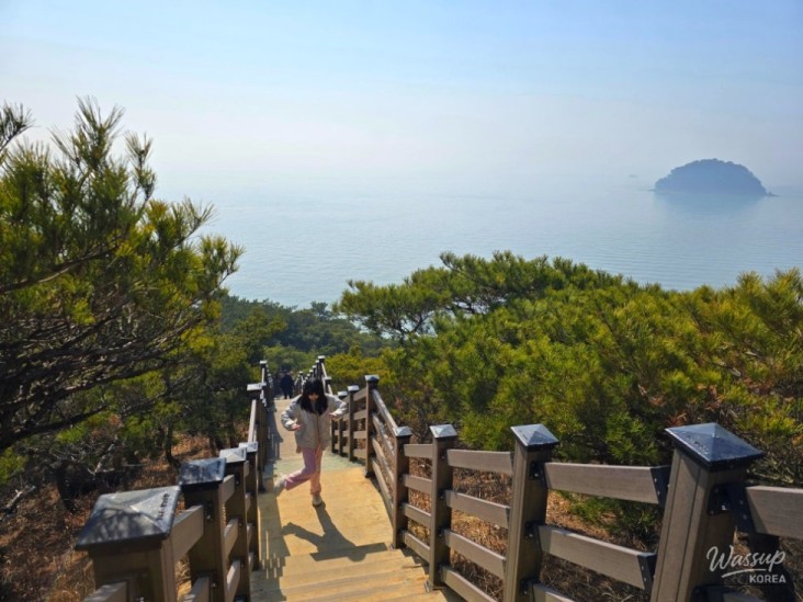 매력적인 사진