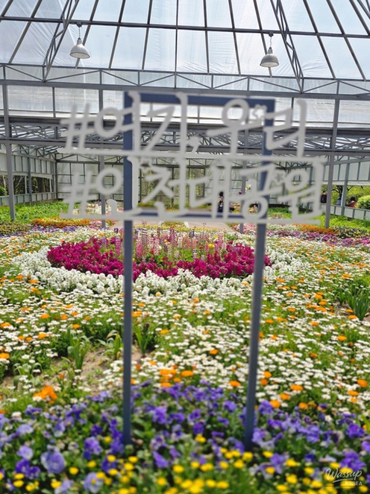 화려한 장면