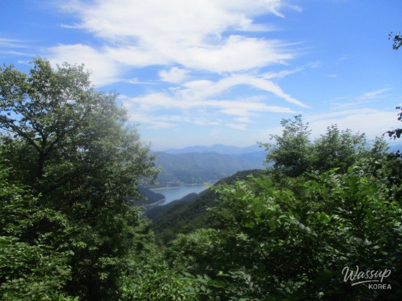 흥미로운 이미지