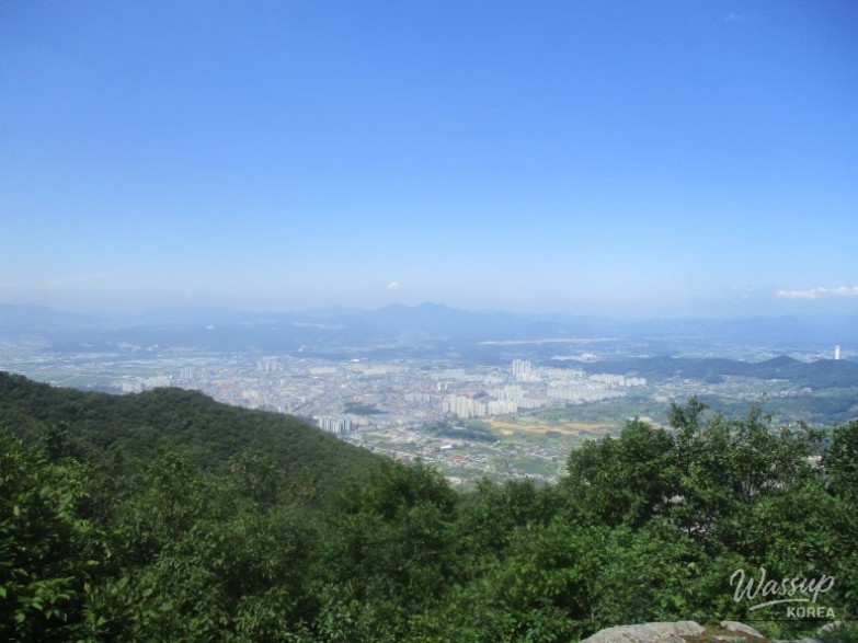 매력적인 사진