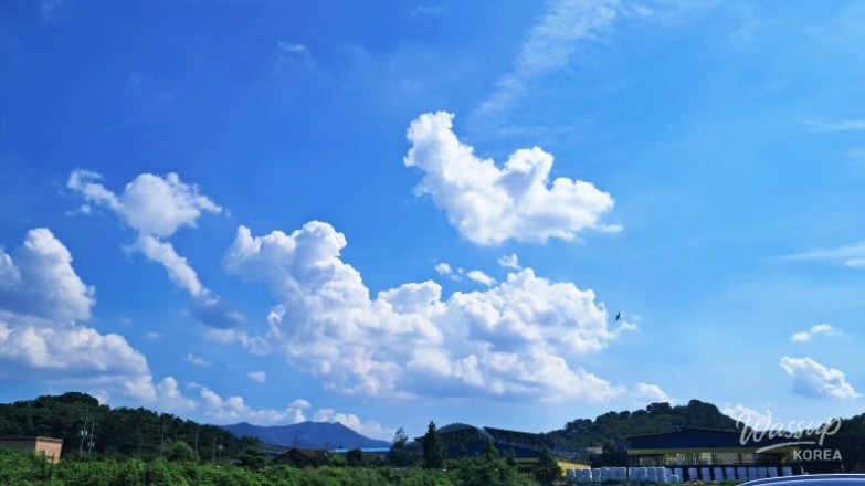 Vibrant Scene