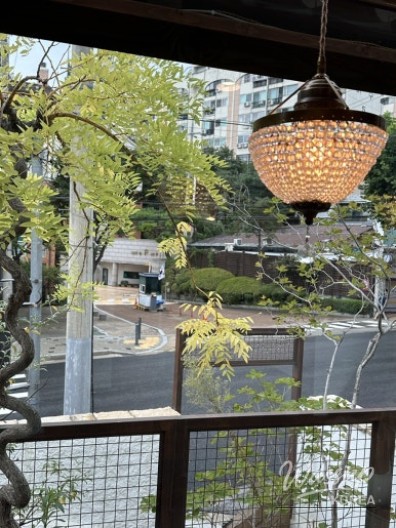 놀라운 광경