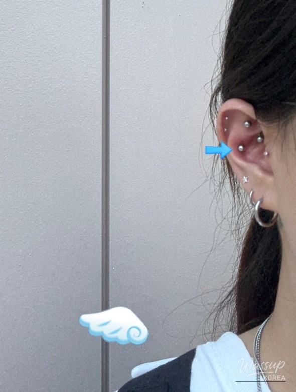 Piercing Variety