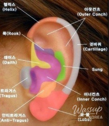 Piercing Variety