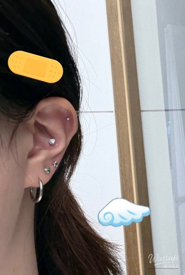 Piercing Variety
