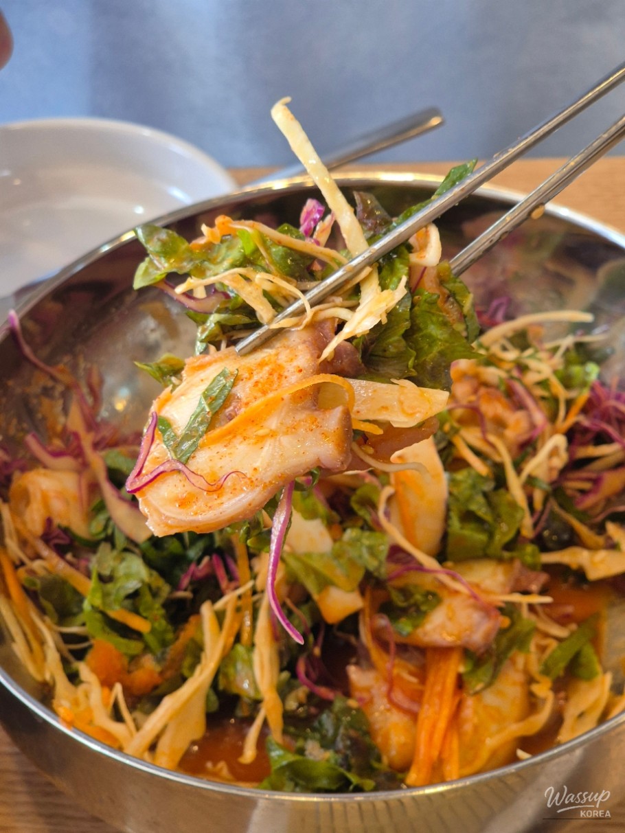 Octopus Mulhoe