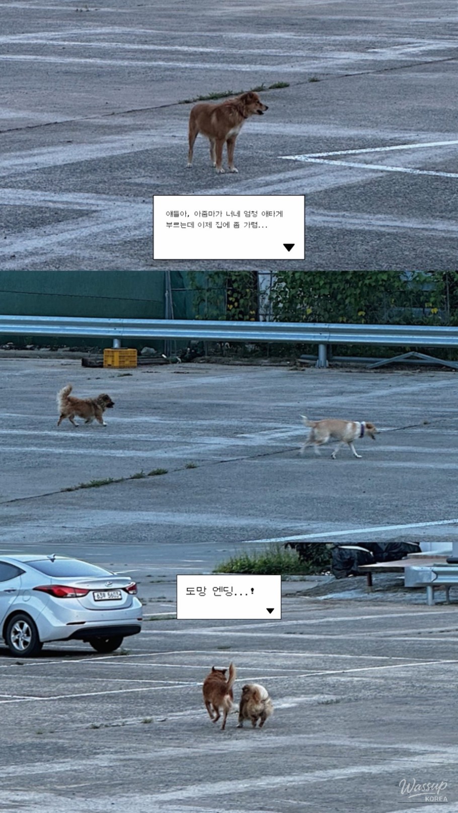 Interesting image