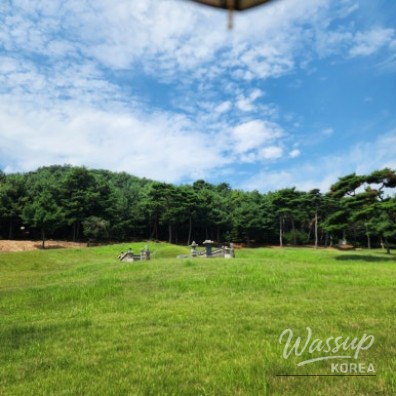 화려한 장면