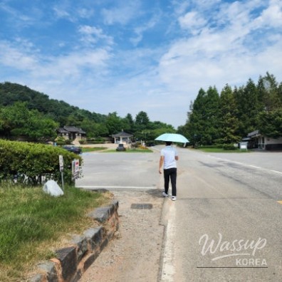 매력적인 사진