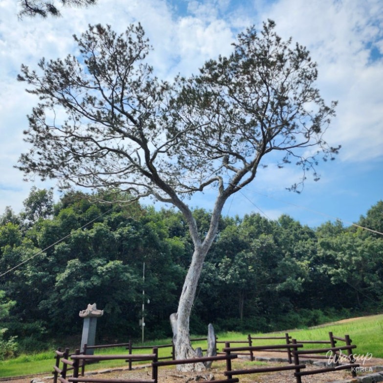 희망찬 내일