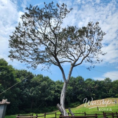 멋진 사진