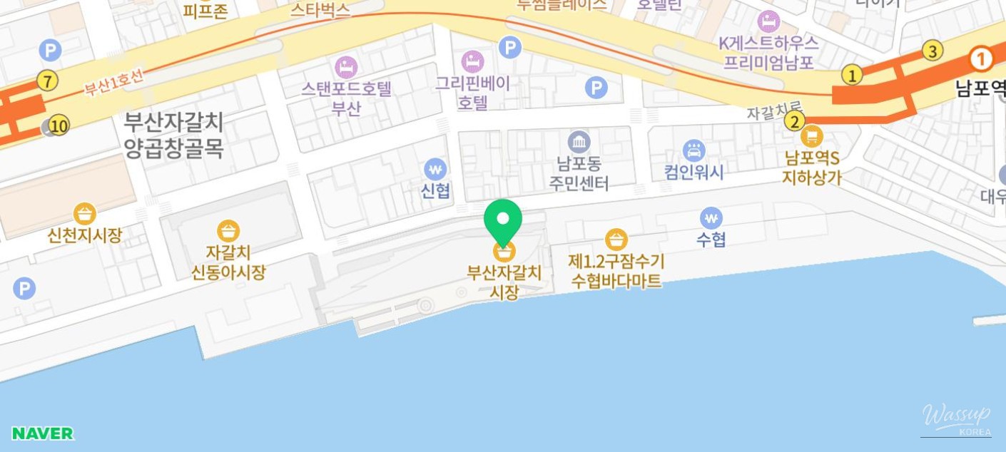 매력적인 사진