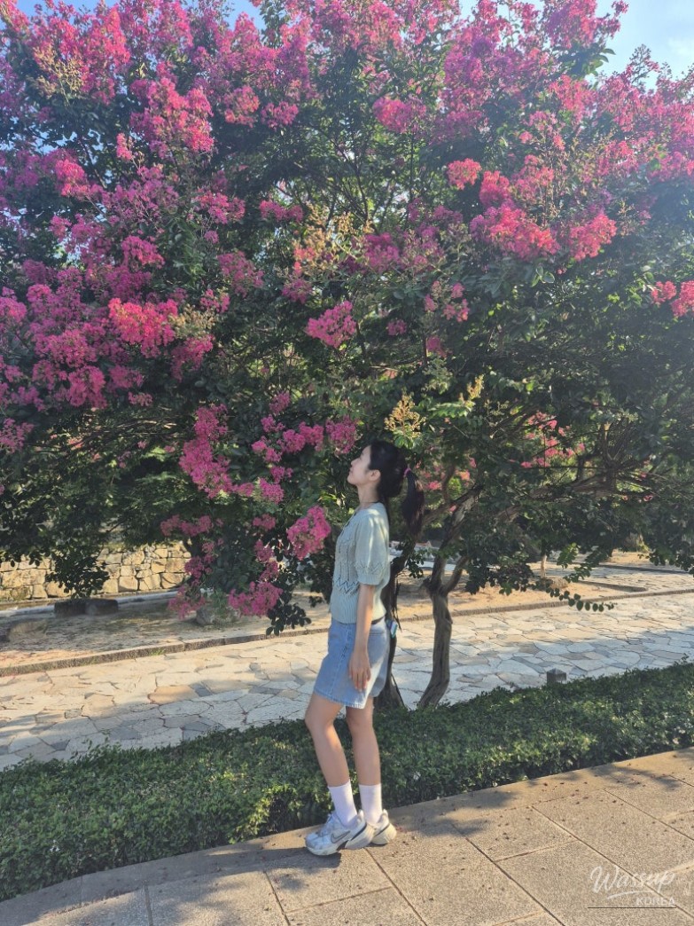 꿈같은 순간