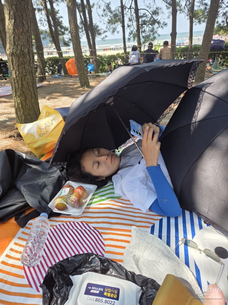 화려한 장면