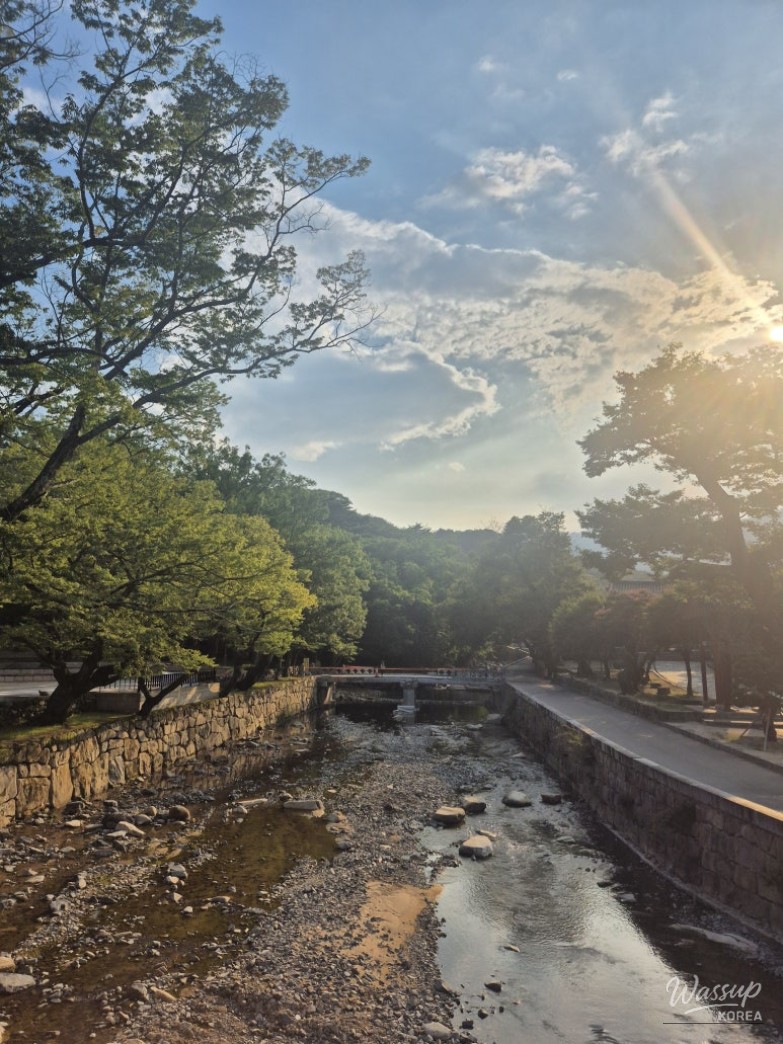 평화로운 풍경