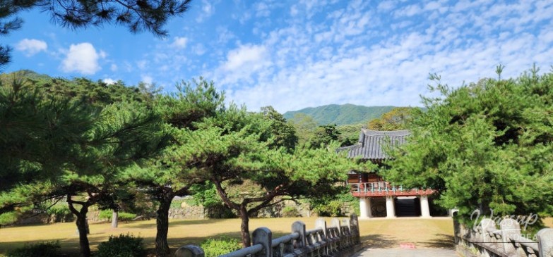환상적인 장면