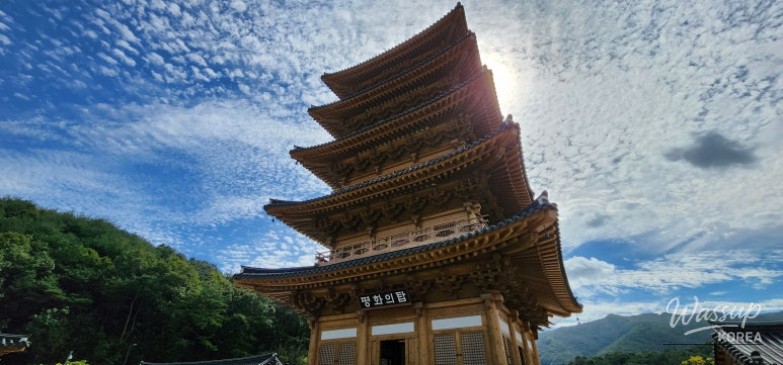 감동적인 장면