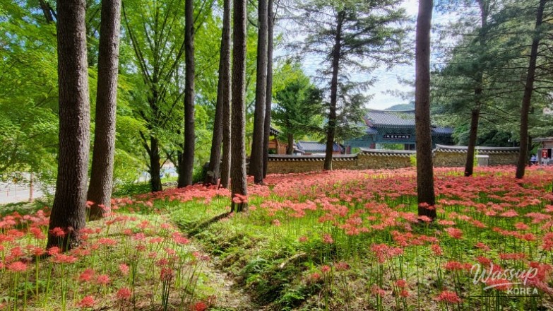 놀라운 광경