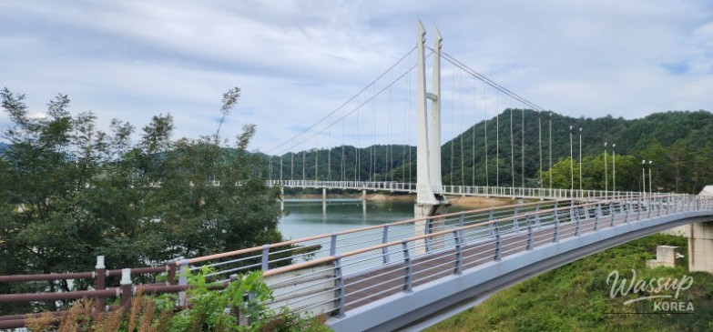 평화로운 풍경