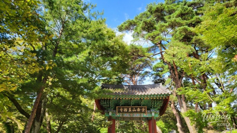 놀라운 광경