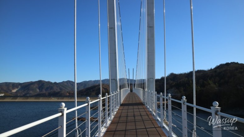 놀라운 광경