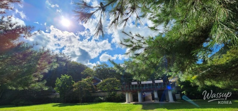 값진 경험