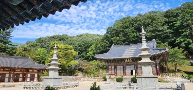 평화로운 풍경