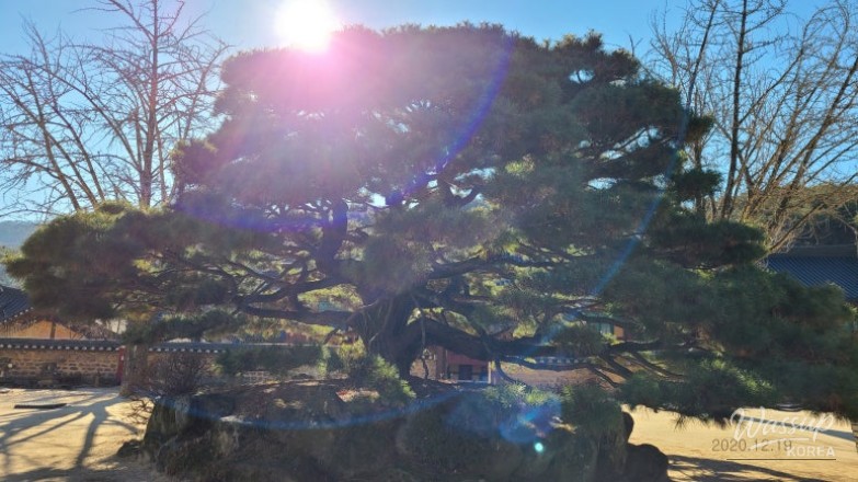 밝은 미래