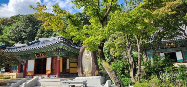 평화로운 풍경