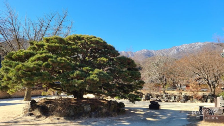 희망찬 내일