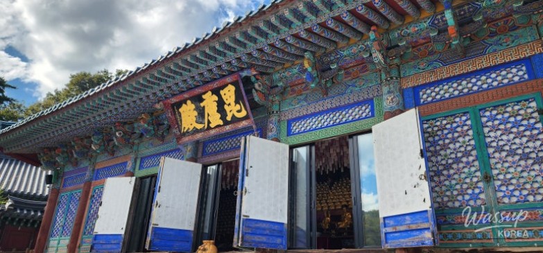 매력적인 사진