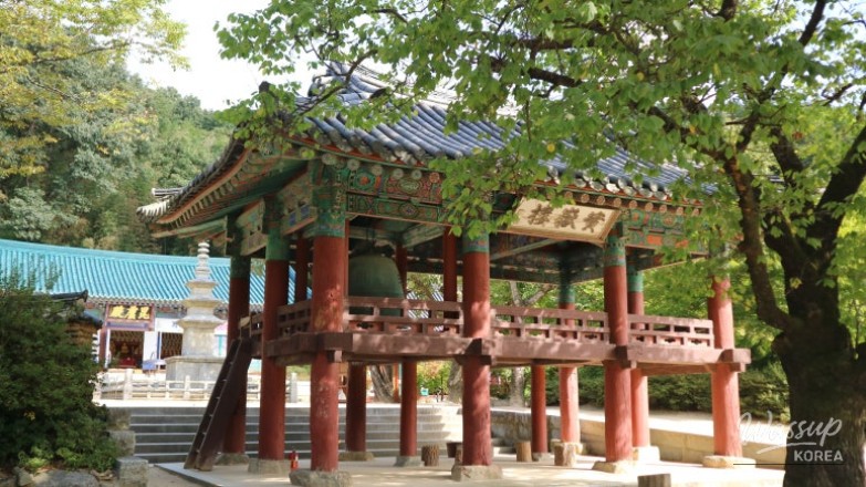 감동적인 장면