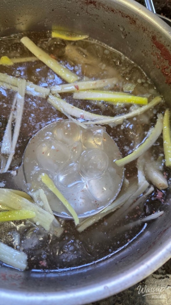 멋진 사진