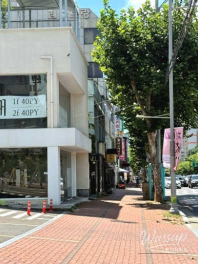 평화로운 풍경