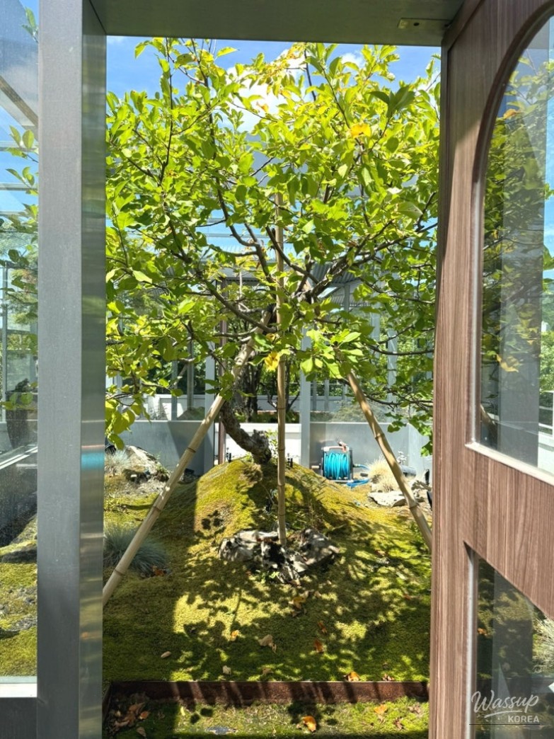 값진 경험