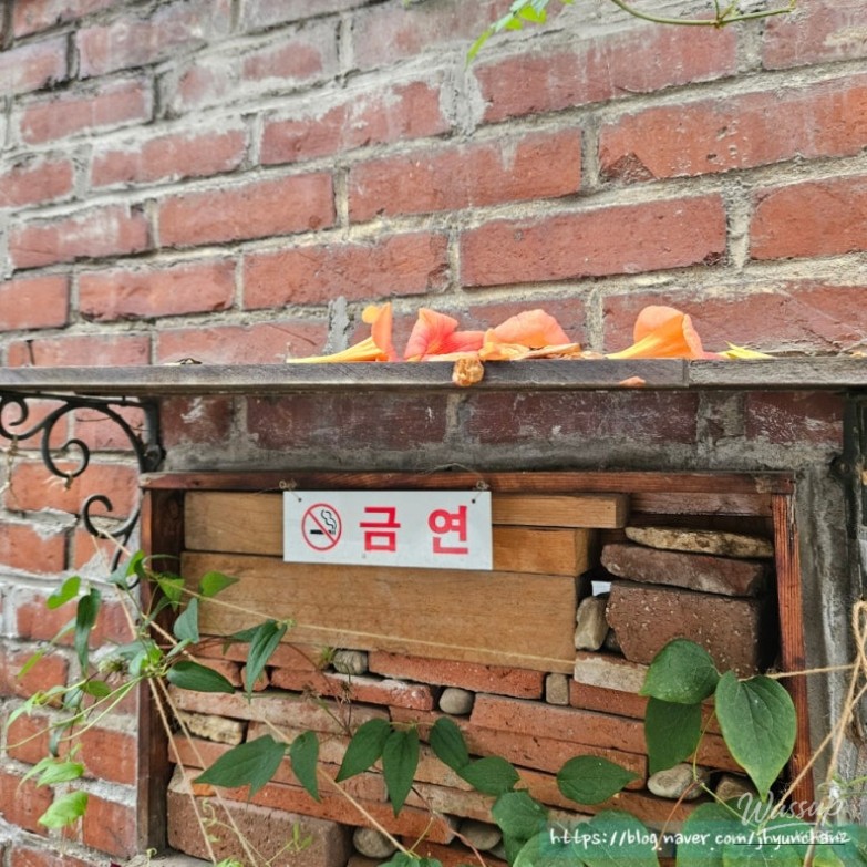 환상적인 장면